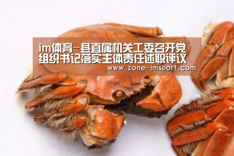 im体育-县直属机关工委召开党组织书记落实主体责任述职评议会(图3) im体育