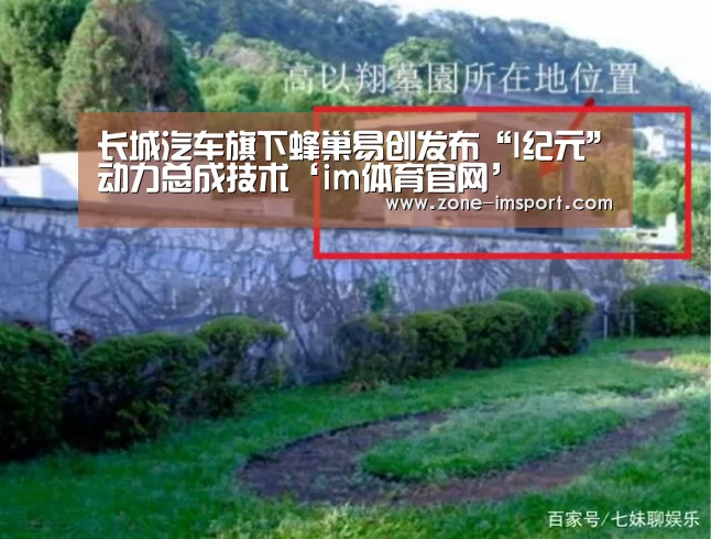 im入口