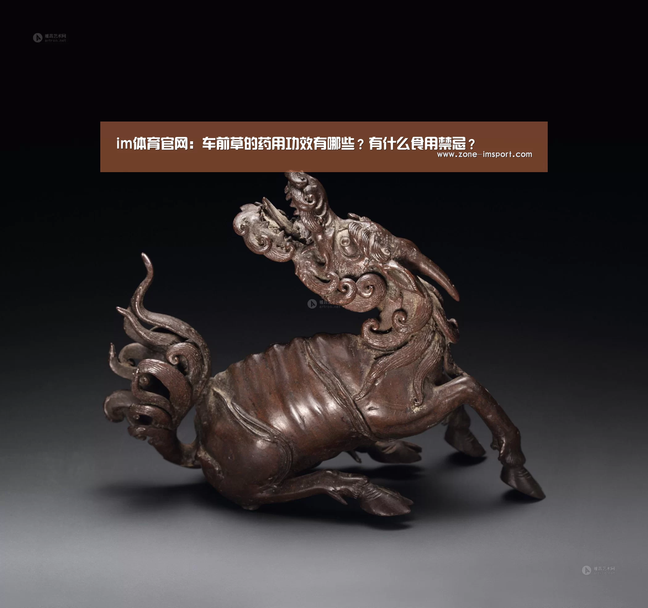 im体育官网:车前草的药用功效有哪些?有什么食用禁忌?(图1) im体育投注